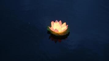 alto ángulo ver de brillante lámpara en artificial loto. hermosa flor flotante en agua. concepto de tradición. video