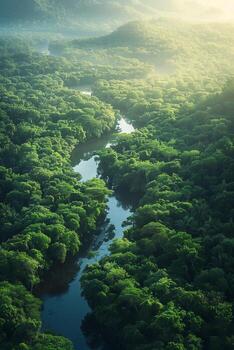 Amazing aerial view of the amazon river in the amazon rainforest, costa r photo