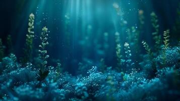 Underwater scene with plants and water photo