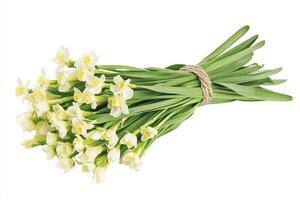 Spring Daffodil Bouquet - A Springtime Delight photo