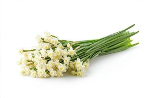 A Delicate Bouquet of Spring Daffodils photo