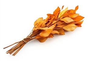 Autumnal Dried Leaves Bouquet photo