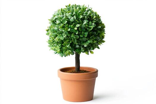 Miniature Artificial Tree in Pot - A Delightful Home Decor photo