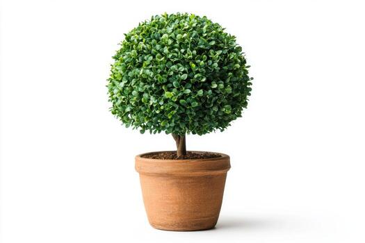 Round Green Artificial Tree in Terracotta Pot photo