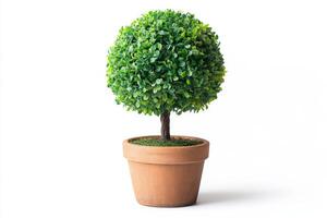 Beautiful Artificial Topiary in Terracotta Pot photo