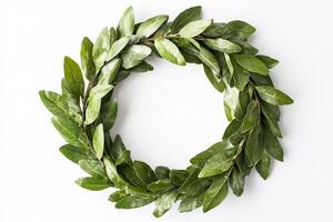 Elegant Green Laurel Wreath photo