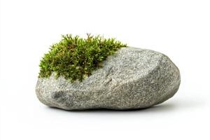 Nature Simple Beauty. A Stone with Moss photo