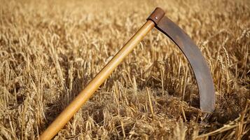 Vintage Scythe in a Golden Wheat Field photo