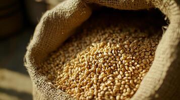 Wheat Grains in a Rustic Sack - A Bountiful Harvest photo