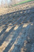 A fence that is made of dirt and trees photo