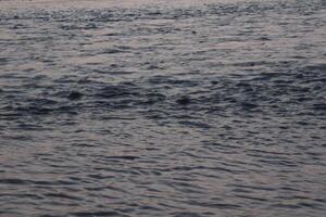 A person is flying a kite in the water photo