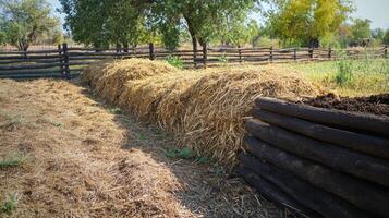 Rustic Garden with Straw and Raised Wooden Beds photo