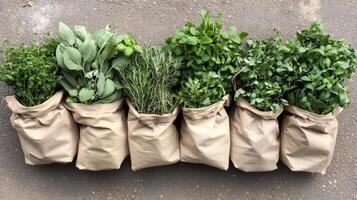 Fresh Herbs in Brown Paper Bags photo