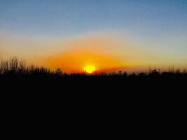 A sunset over a field with trees in the background photo