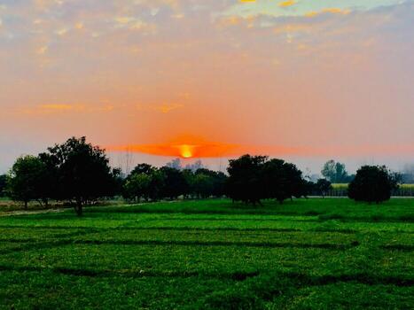 A field with trees and a sunset in the background photo