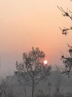 The sun sets over a river and trees photo