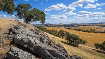 Stunning Landscape View from a Hilltop photo