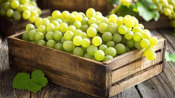 Fresh Green Grapes in Wooden Crate photo