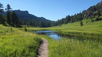 Serene Mountain Meadow with Crystal-Clear Creek photo