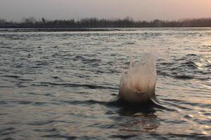 A large body of water photo