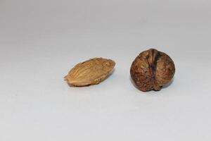 Two walnuts are shown on a white surface photo