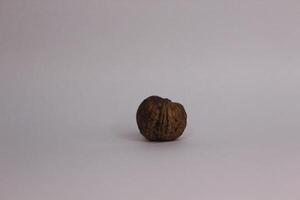 A walnut on a white background. photo