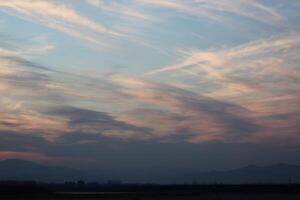 A plane flying over a field at sunset photo