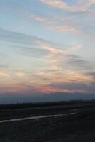 Bare trees are silhouetted against a dusky sky, partially obscured by a setting sun. photo
