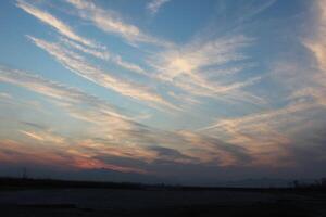 A plane flying over a field at sunset photo