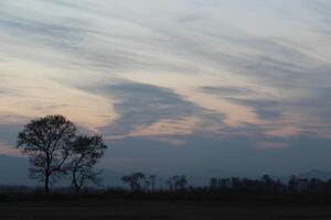 A sky with clouds photo