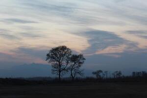 A lone kite flying in the sky at dusk photo