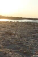 Sandy terrain dotted with scattered, rounded stones stretches towards a distant, sunlit body of water. photo