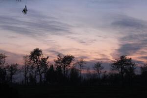 A sunset over a field with trees and sky photo