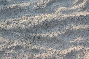 Dry, sandy terrain with visible footprints and textured surface photo