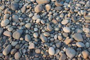 A large pile of rocks on the beach photo