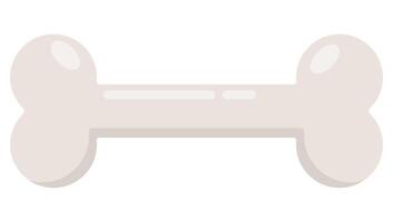 bone flat icon isolated on white background. vector