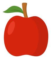 Apple fruit isolated on white background. vector