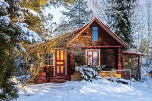 front view of colorful log house on snowy yard photo