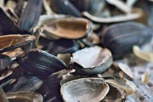 Pile of Sunflower Seed Shells photo