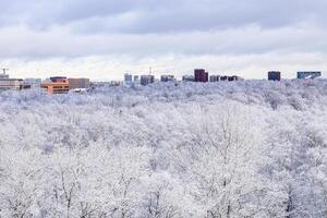 snow clouds and snow-covered park after snowing photo