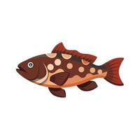 Grouper under water animal isolated flat illustration on white background. vector