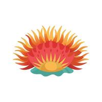 Giant Plumose isolated flat illustration on white background vector