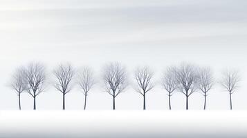nature minimal tree photo