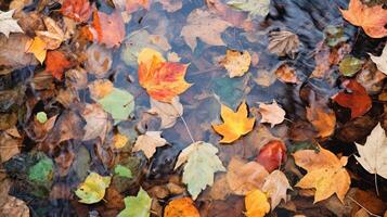 mosaic fall leaves water color photo