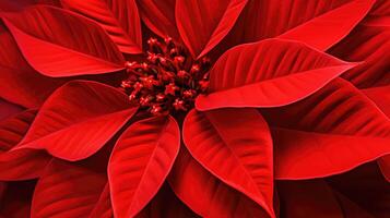vibrant red christmas texture photo