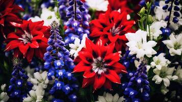cluster red white and blue flowers photo