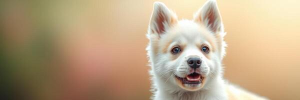 Happy white puppy with a cheerful expression posed against a blurred background in a serene outdoor setting photo