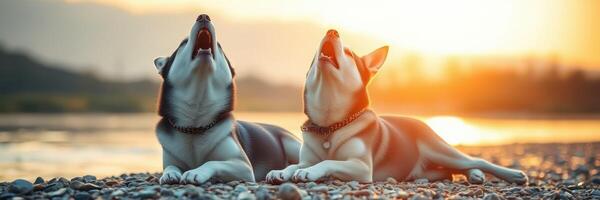 Two huskies howling joyfully at sunset by a tranquil lake amidst stunning natural scenery photo