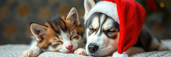 Cute puppy and kitten wearing festive hats enjoying a cozy moment during the holiday season photo