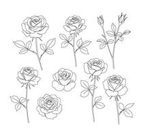 Rose Line Art Illustrations Set vector